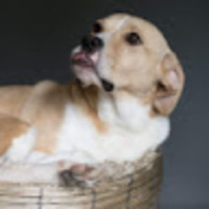 Meet your Posher, Lillian